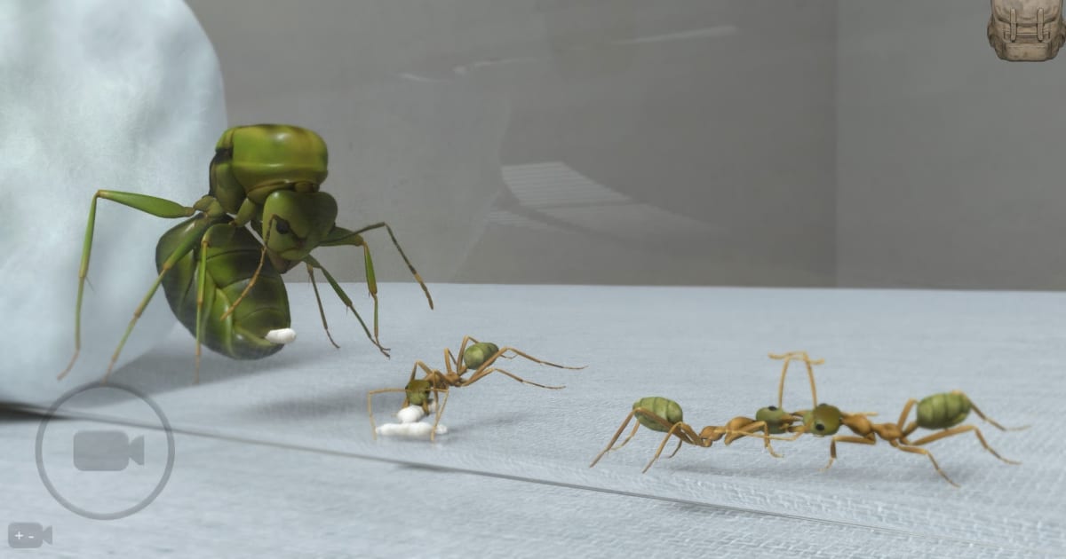 Download & Play Ant Sim Tycoon on PC & Mac (Emulator)