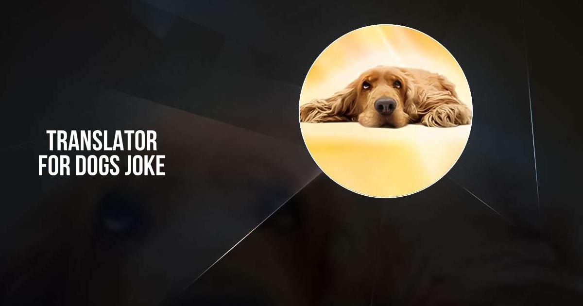 Download and run Translator for dogs joke on PC & Mac (Emulator)