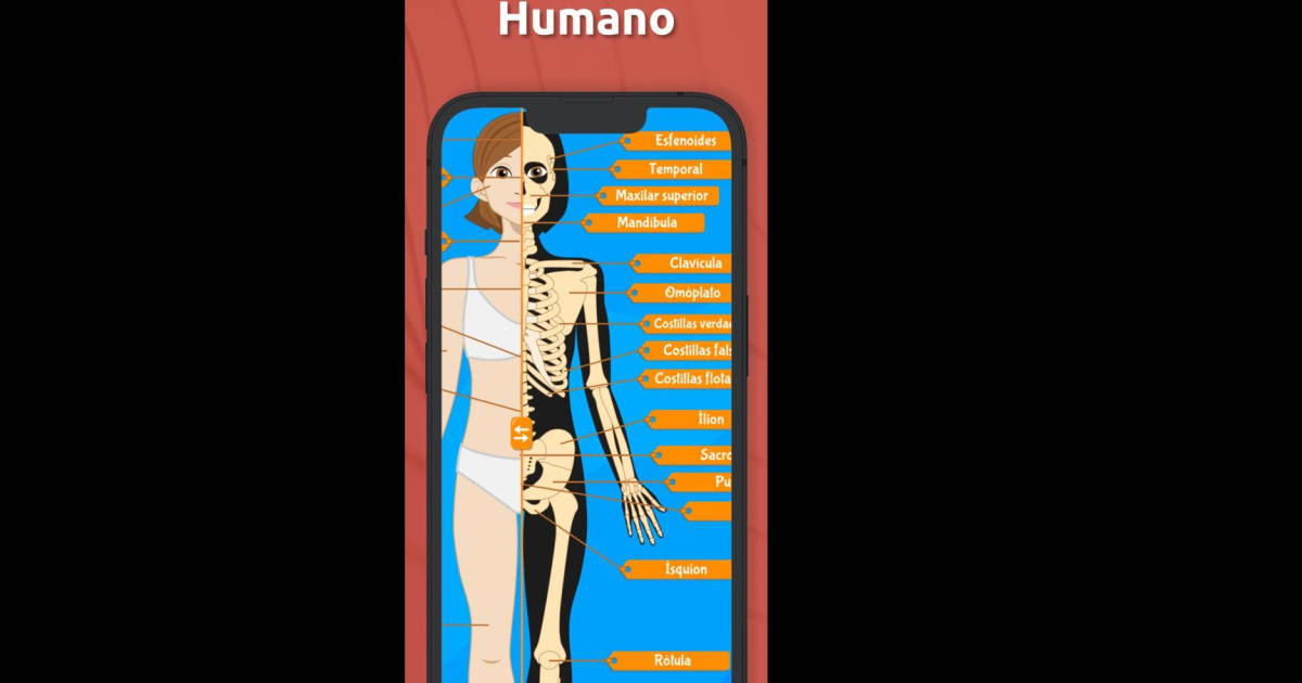 Download & Play Human Anatomy - Body parts on PC & Mac (Emulator)