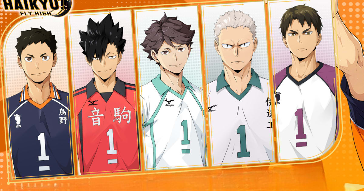 HAIKYU!! FLY HIGH