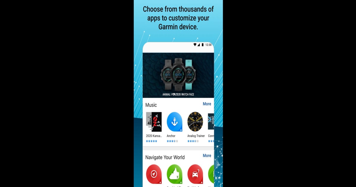 Download and run Connect IQ™ Store on PC & Mac (Emulator)