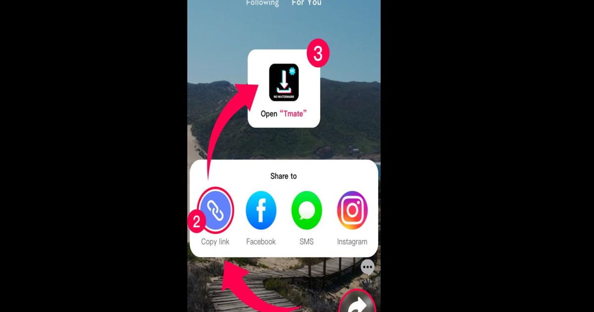 Descarga y ejecuta Descargar Vídeo de TikTok en PC y