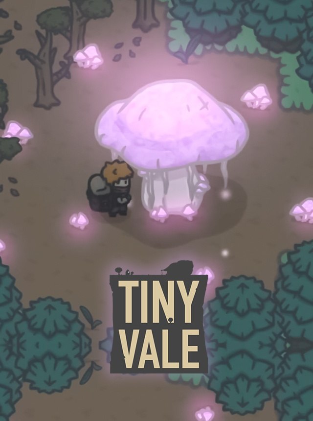 TinyVale