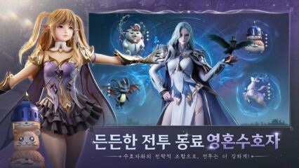 디바인: 신을 모시는 자 공략 – 팀 조합 가이드