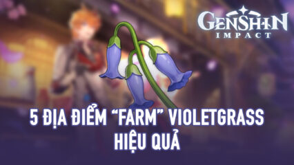 Genshin Impact: 5 địa điểm có nhiều cây Violetgrass nhất