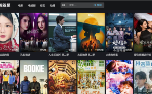 如何使用BlueStacks在PC上使用「泥视频TV」