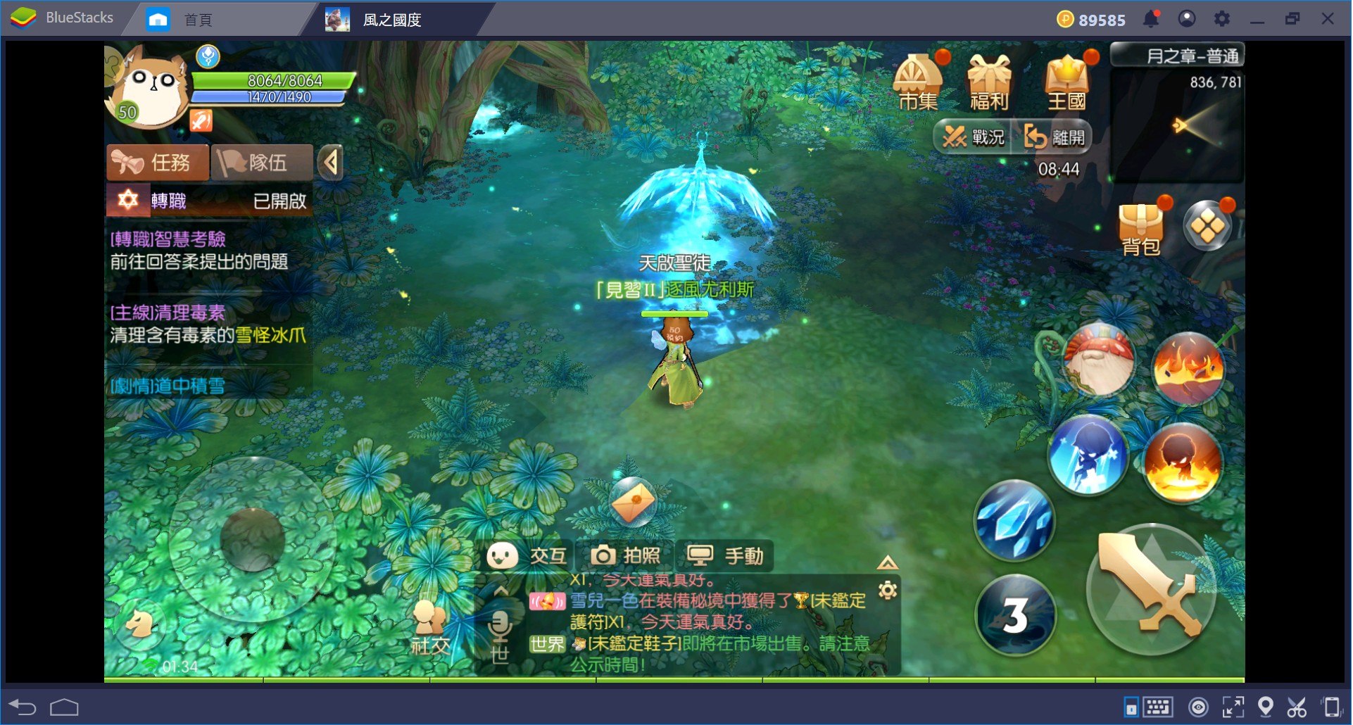 風之國度 之職業攻略 Bluestacks