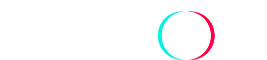 TikTok on pc