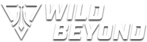 暢玩 Wild Beyond PC版 18