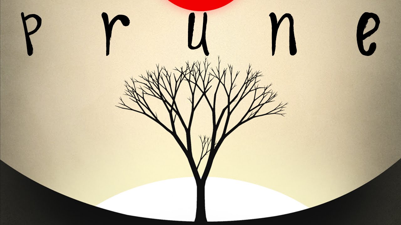 Game Review: Prune