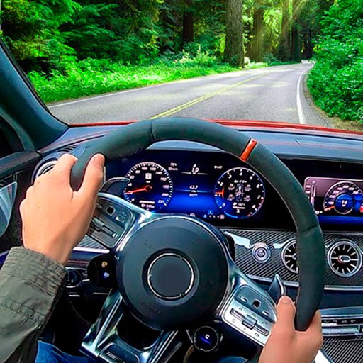 Racing in Car 2021 - conduite de trafic 2020