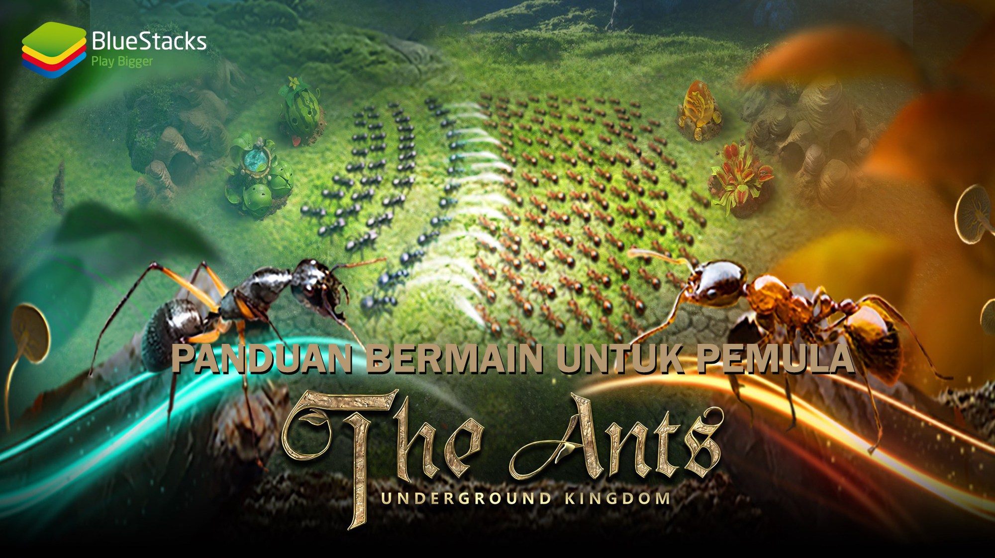 Panduan Bermain The Ants: Underground Kingdom Untuk Pemain Pemula! |  BlueStacks