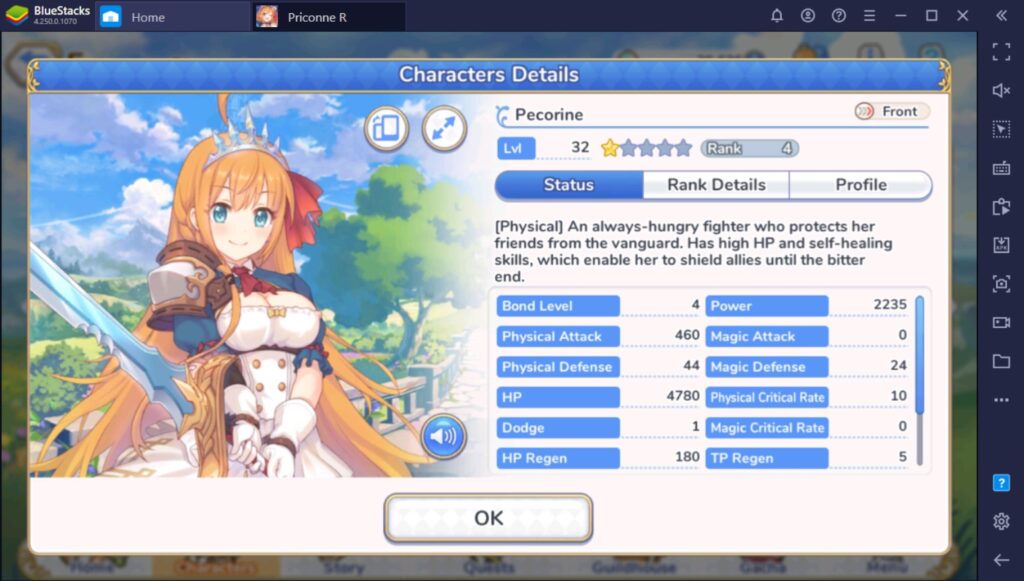 Princess Connect! Re:Dive - Character Types & Roles | BlueStacks