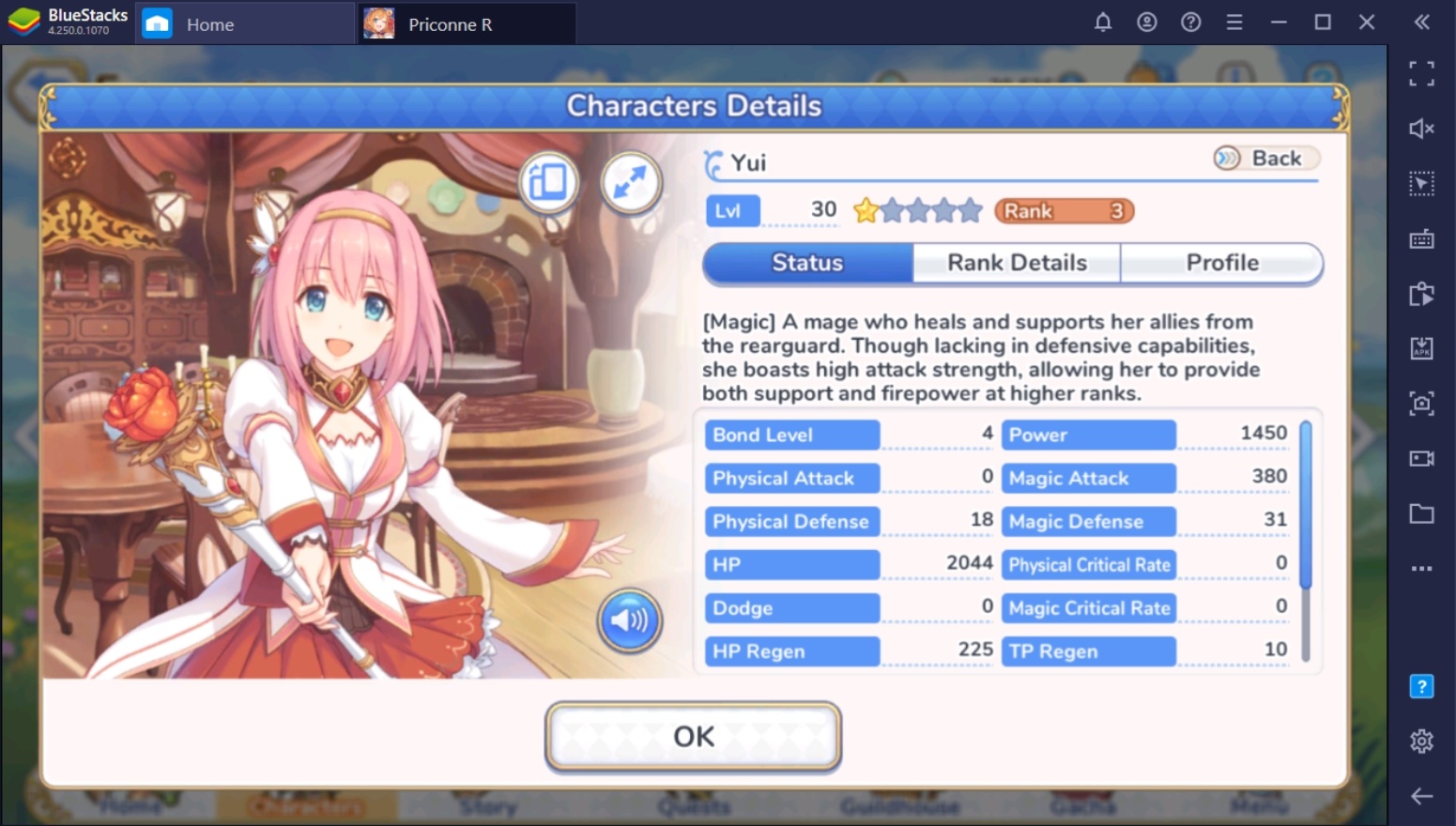 Princess Connect! Re:Dive - Character Types & Roles