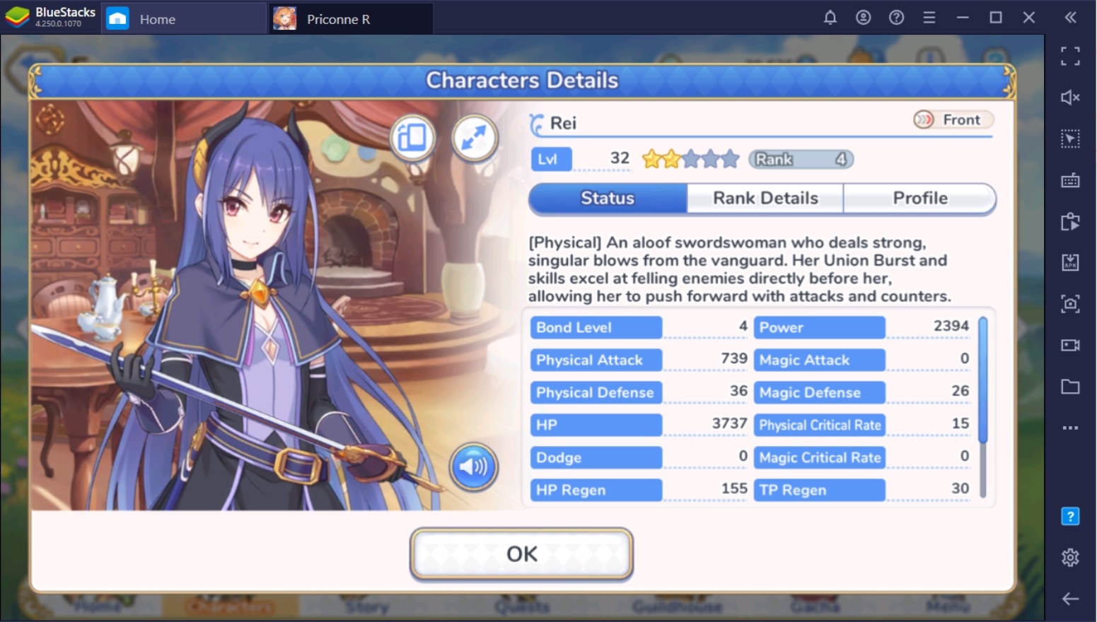 Princess Connect! Re:Dive - Character Types & Roles