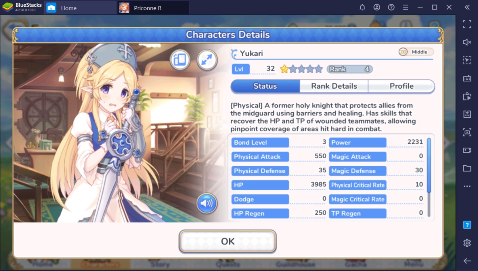 Princess Connect! Re:Dive - Character Types & Roles