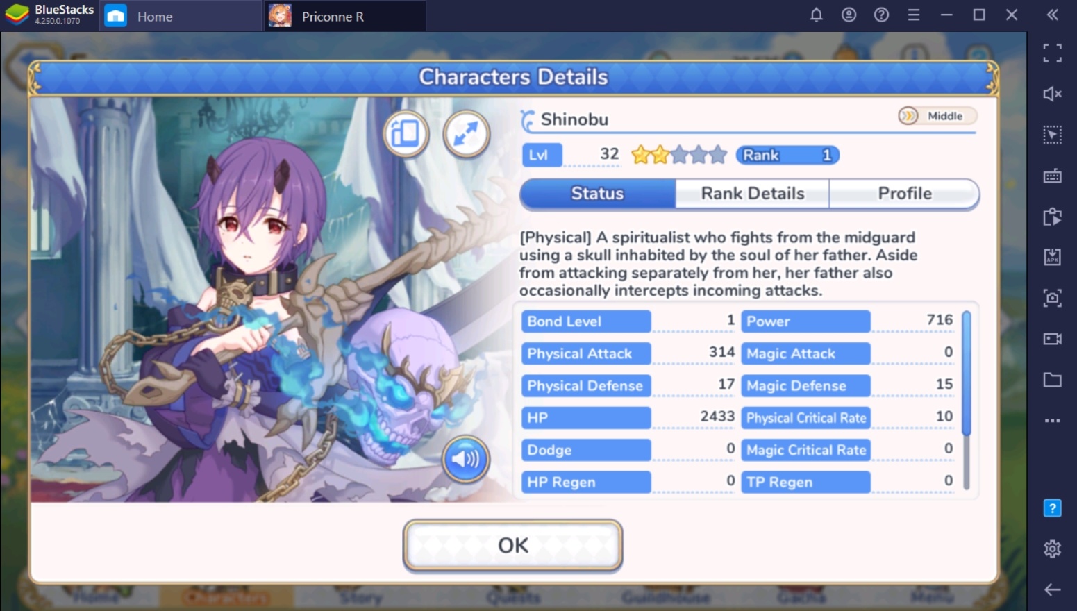 Princess Connect! Re:Dive - Character Types & Roles