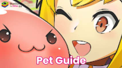 Comprehensive Pet Guide for Ragnarok M: Classic