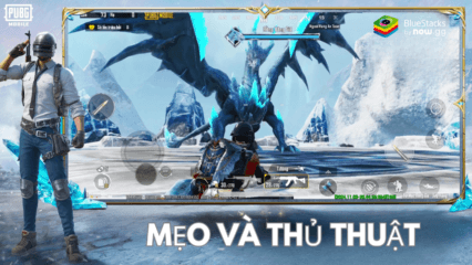 Mẹo và thủ thuật dành cho game thủ khi chơi PUBG Mobile VN: Football Mania trên PC với BlueStacks