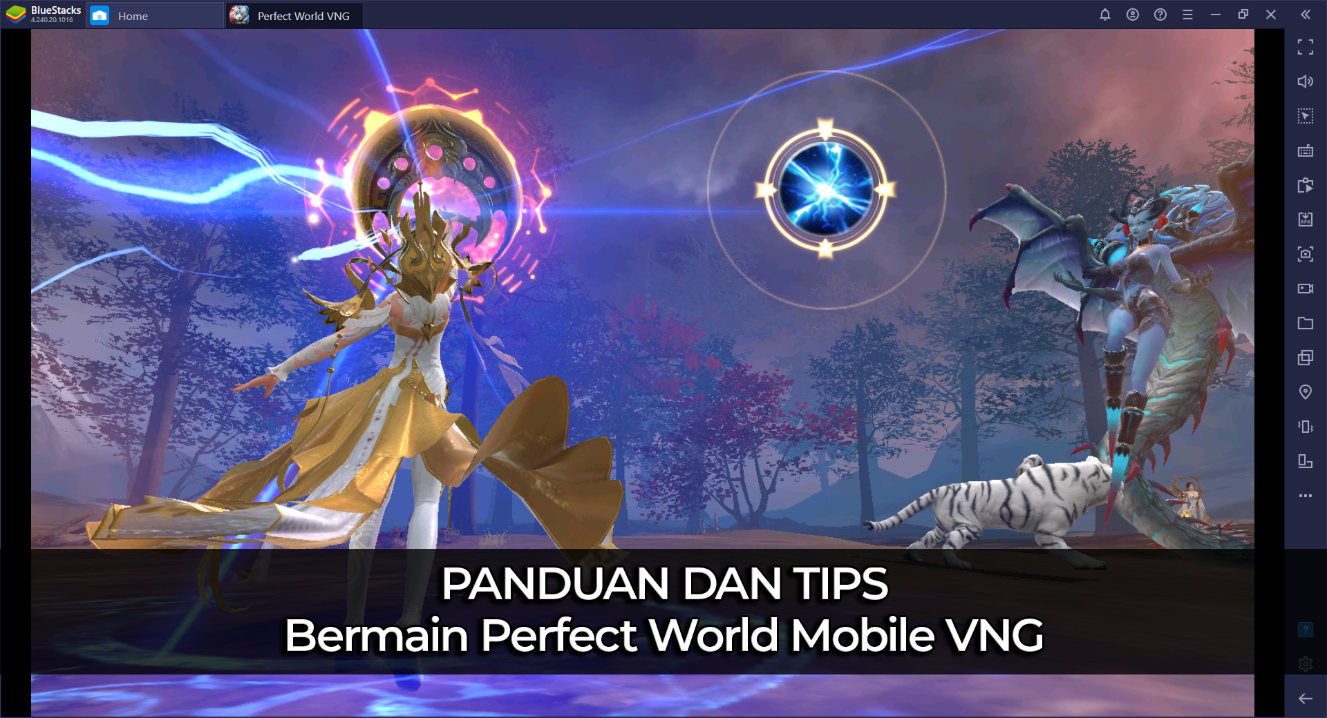 Panduan dan tips bermain Perfect World VNG