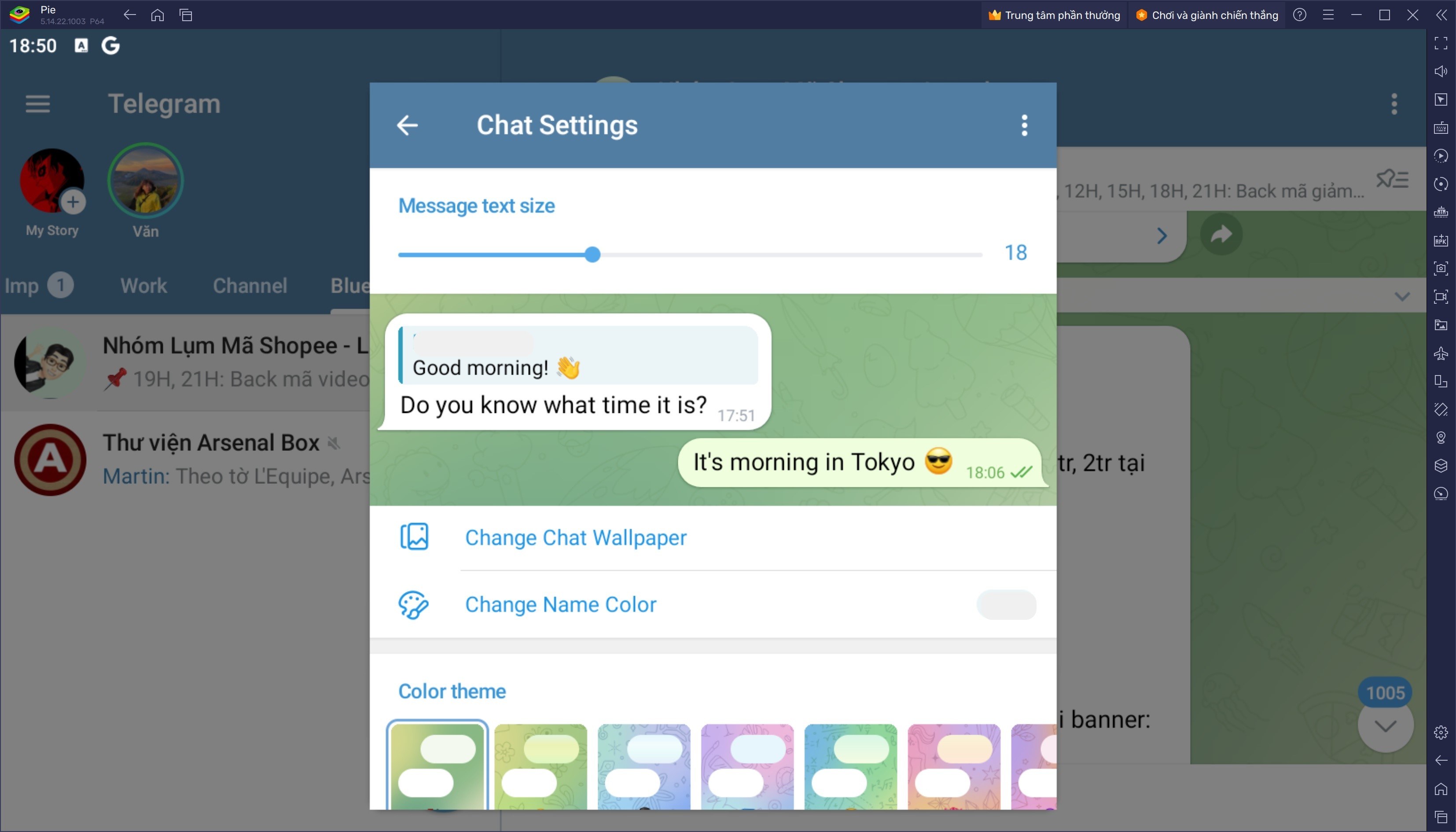 Instructions for personalizing the chat experience in Telegram