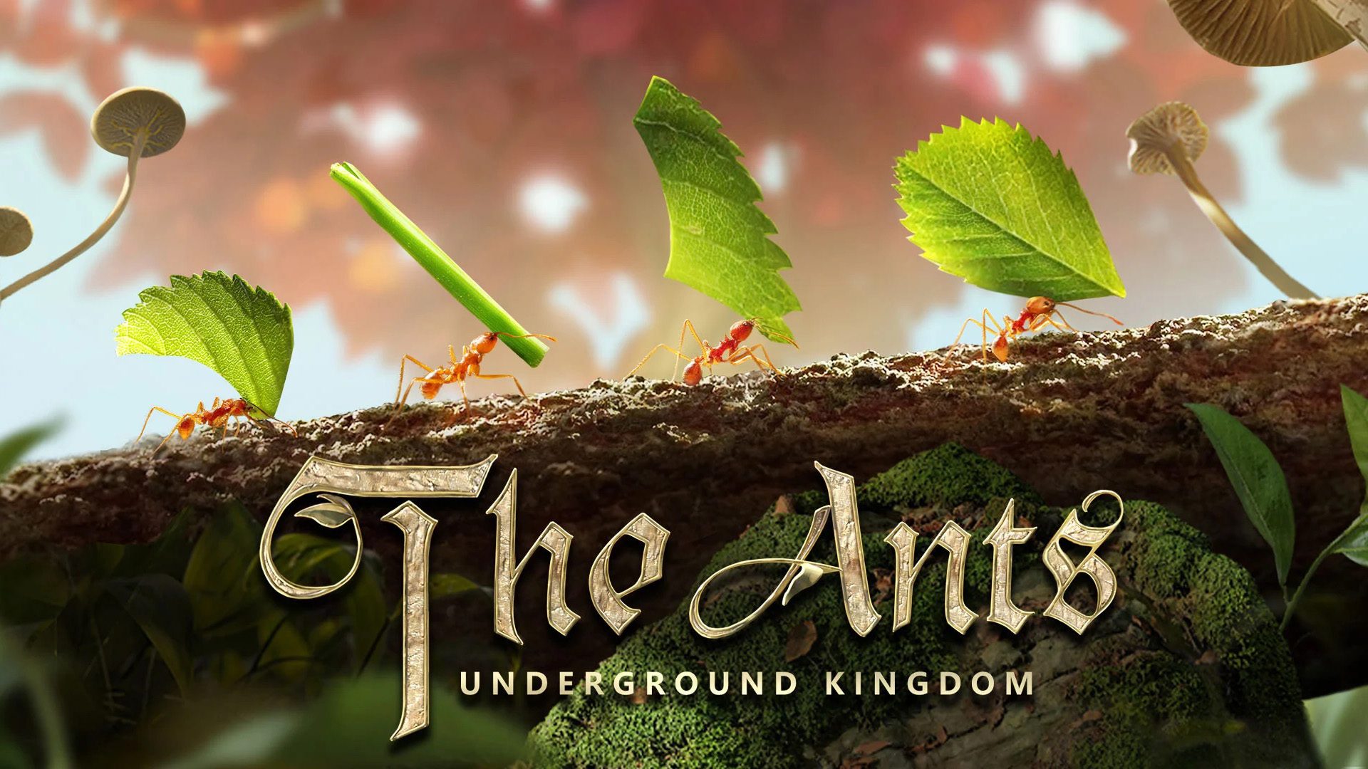 วิธีติดตั้ง The Ants Underground Kingdom บน PC และ Mac ผ่าน BlueStacks