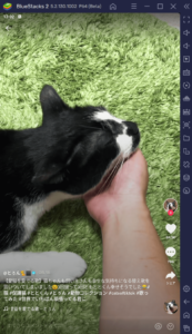 BlueStacksを使ってPCで『TikTok』を楽しもう