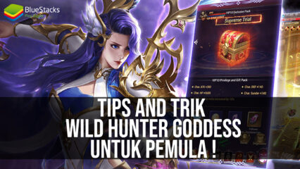 Tips & Trik Wild Hunter: Goddess Untuk Pemain Pemula