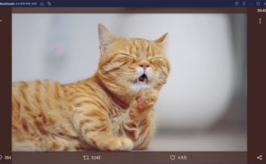 BlueStacksを使ってPCで『Twitter』を楽しもう