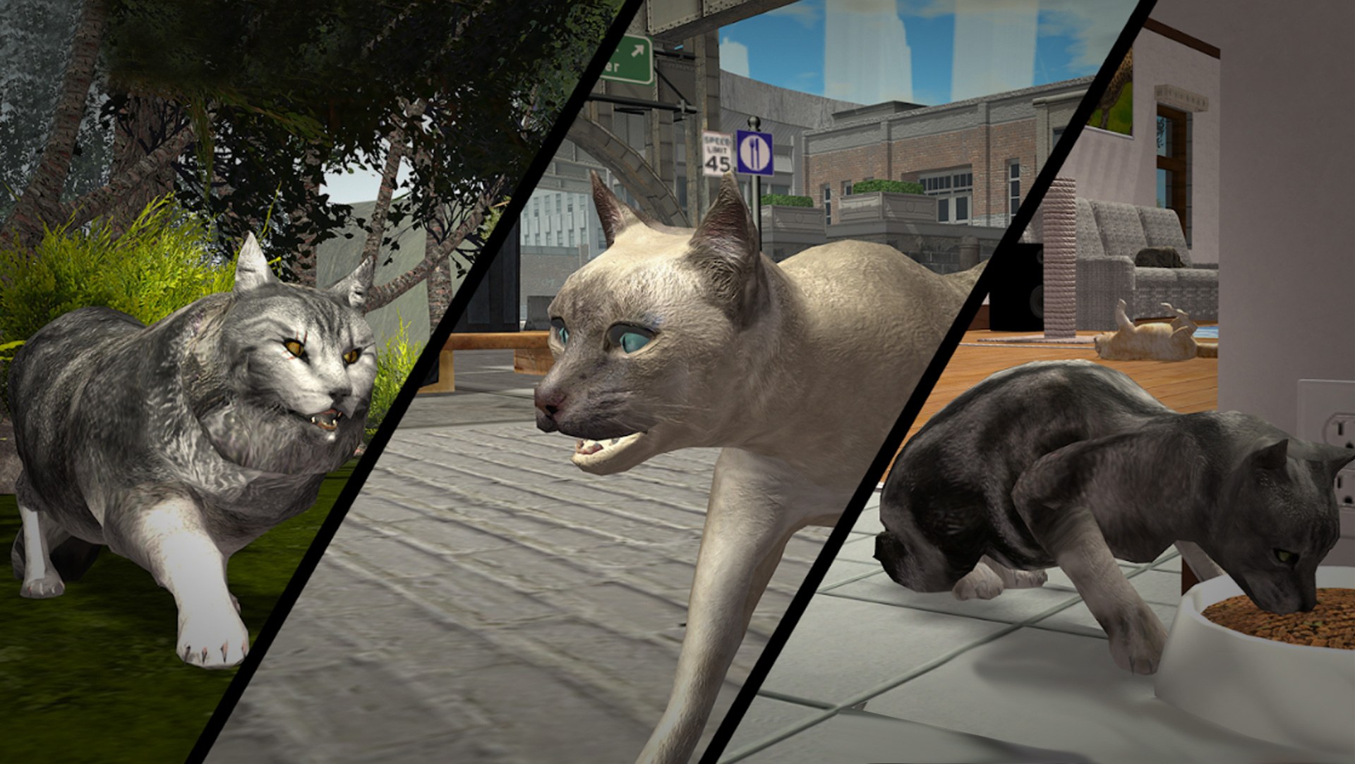 Ultimate Cat Simulator - Apps on Google Play