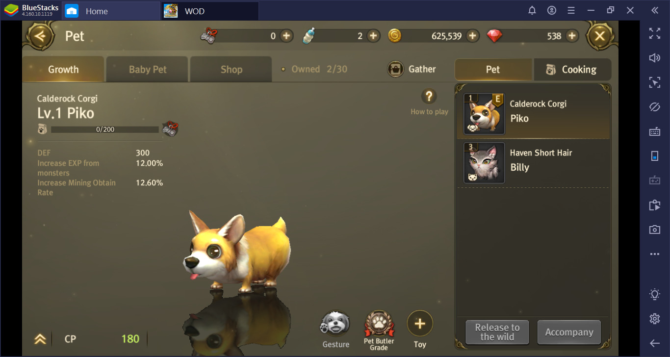 Bagaimana Cara Cepat Meningkatkan Level di World of Dragon Nest