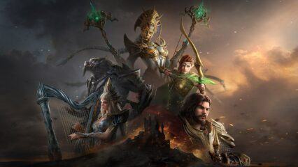Un Guide du Débutant pour Watcher of Realms
