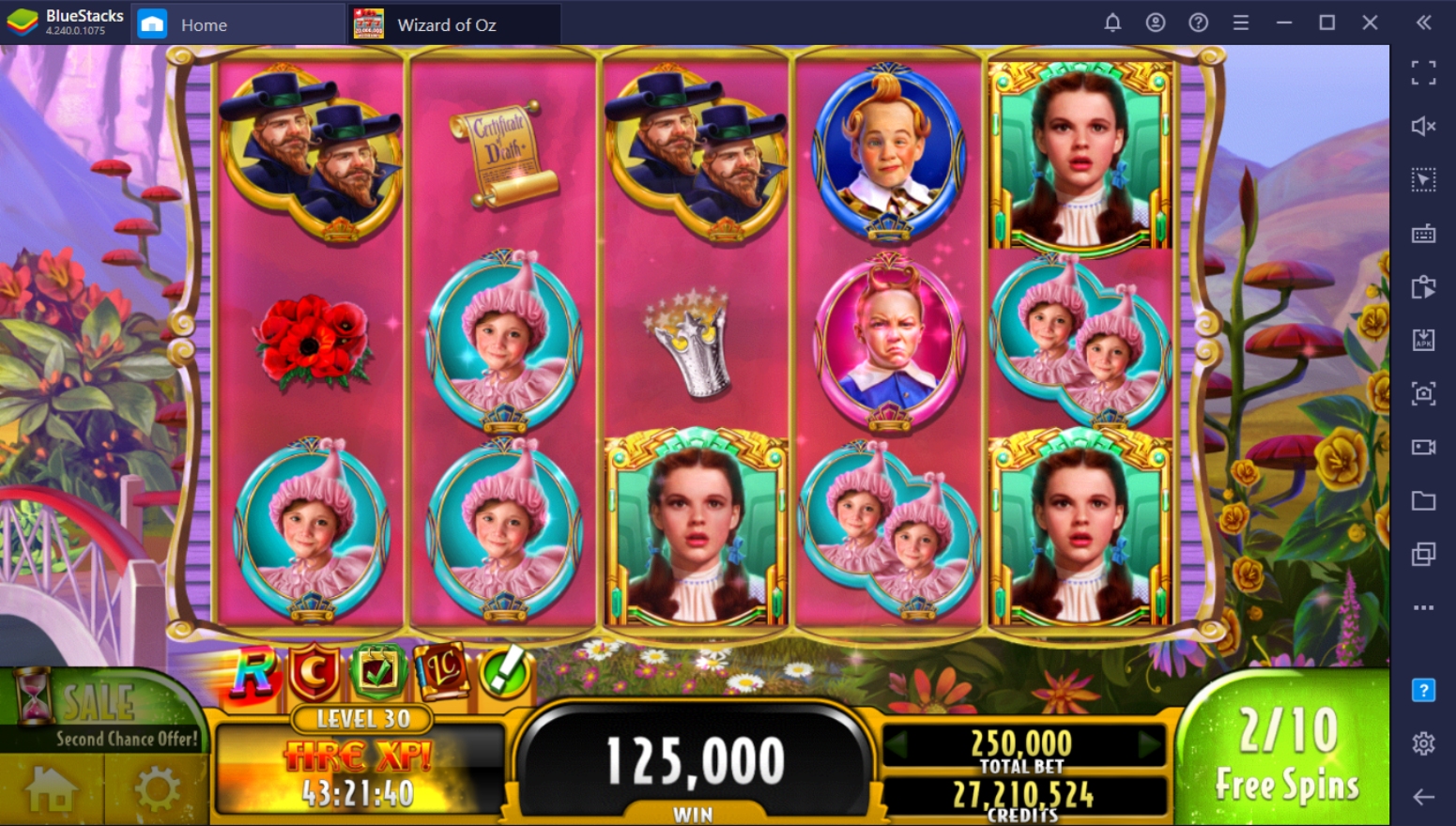 Beginner's Guide to Playing Wizard of Oz Casino on PC