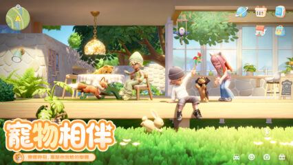 「心動小鎮」寵物貓培養全攻略：打造親密夥伴的進階指南